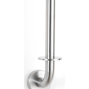 Wall-mounted stainless steel toilet paper holder with vertical post.